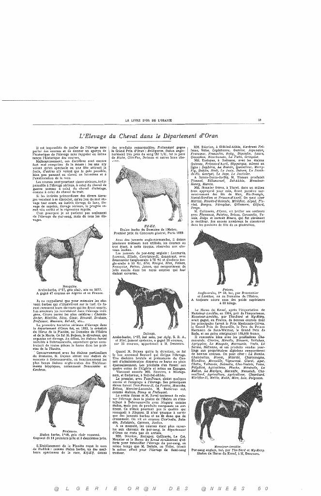 LIVRE D OR DE L ORANIE_000010.jpg